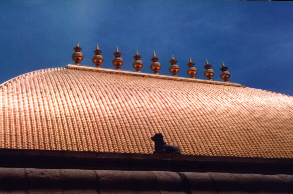 Golden Roof